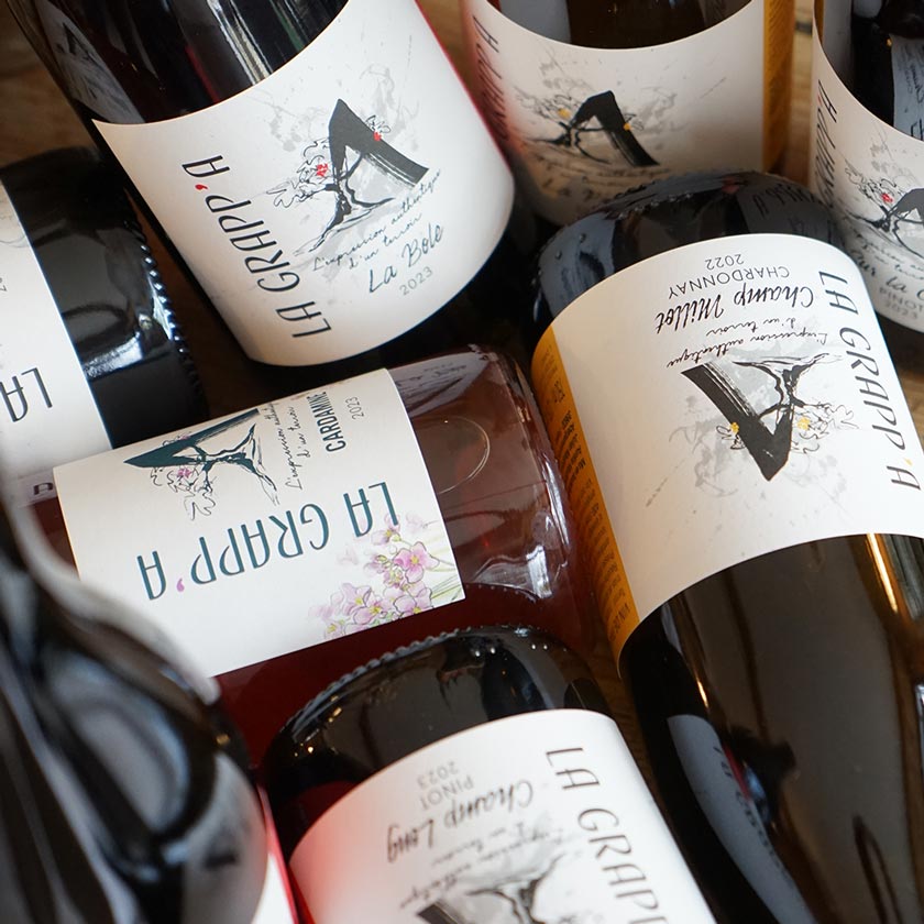 Pinot Noir "Sur la Côte" 2023 - Domaine La Grapp'A – Image 3
