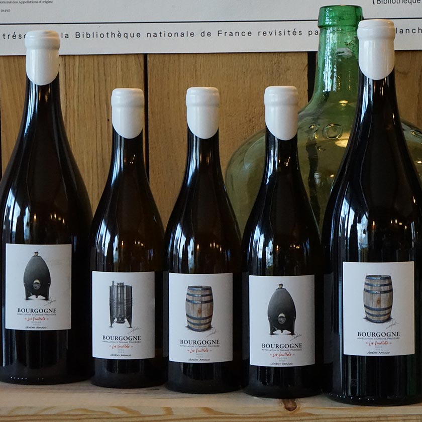 Bourgogne Blanc « Les Veuillots » Ovoïde 2023 - Jérémy Arnaud – Image 3