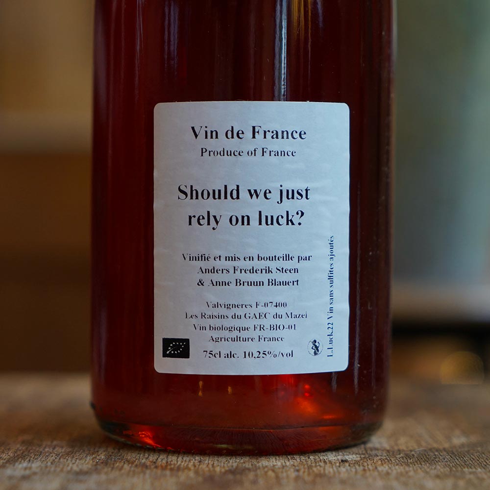 Should we just rely on luck ? 2022 - Anders Frederik Steen et Anne Bruun Blauert – Image 2