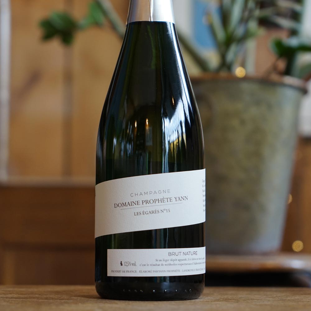 Les Égarés N°15 - Domaine Prophète Yann – Image 2
