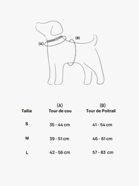 Harnais pour chien - Zoe - Bop Pop Pets – Image 6