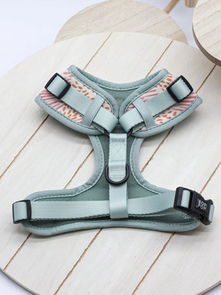 Harnais pour chien - Zoe - Bop Pop Pets – Image 5