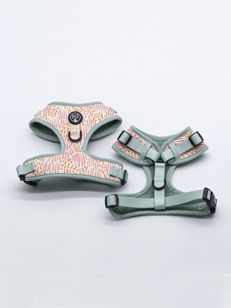 Harnais pour chien - Zoe - Bop Pop Pets – Image 3