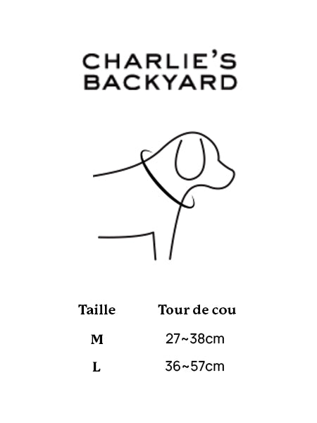 Collier pour chien - Town - Noir - Charlie's Backyard – Image 2