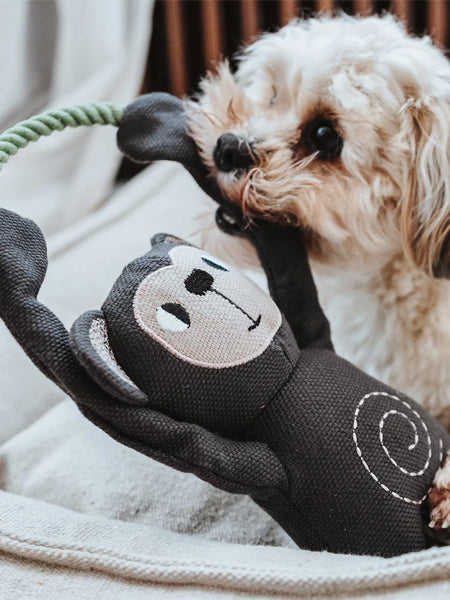 Peluche pour chien avec corde - Singe ? - Hunter – Image 3