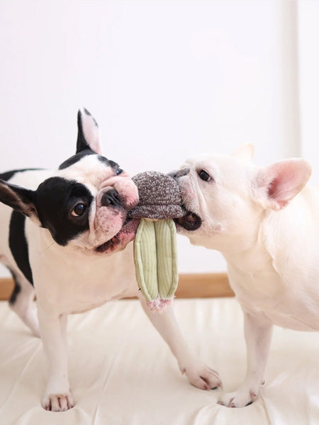 Jouet interactif pour chien - Cactus ? - Lambwolf Collective – Image 2