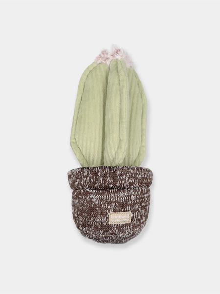 Jouet interactif pour chien - Cactus ? - Lambwolf Collective