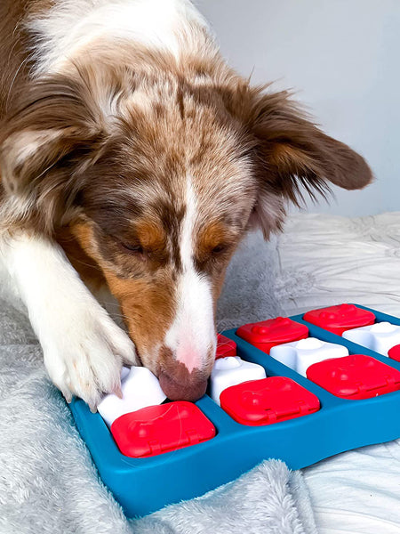 Jouet interactif / puzzle pour chien - Dog Brick - Niveau 2 – Image 5