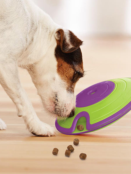 Jouet interactif / puzzle pour chien - Treat Maze - Niveau 2 – Image 4