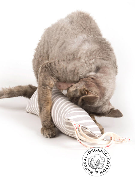 Jouet pour chat à l'herbe à chat en coton biologique - HitKicker – Image 2