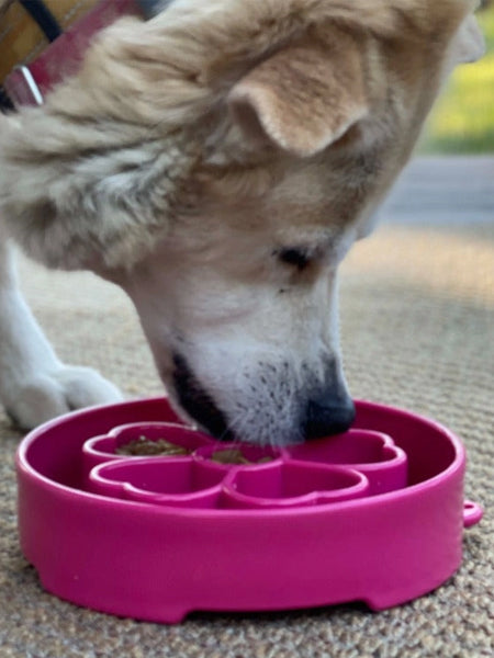 Gamelle d'enrichissement pour chien - Flower Rose - SodaPup – Image 2
