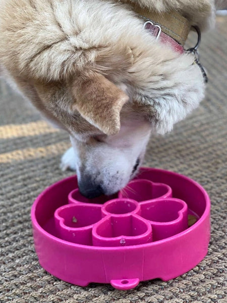Gamelle d'enrichissement pour chien - Flower Rose - SodaPup – Image 3