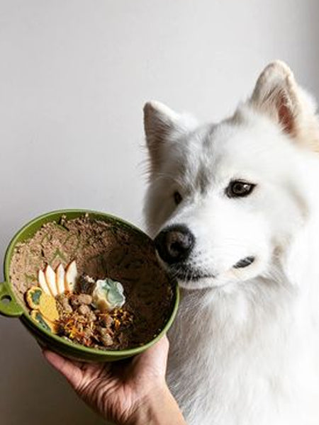 Bol de léchage - Tipsy Bowl Vert - SodaPup – Image 3