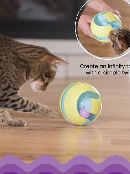 Jouet interactif pour Chat - Twist-A-Ball Track - Catstages – Image 2
