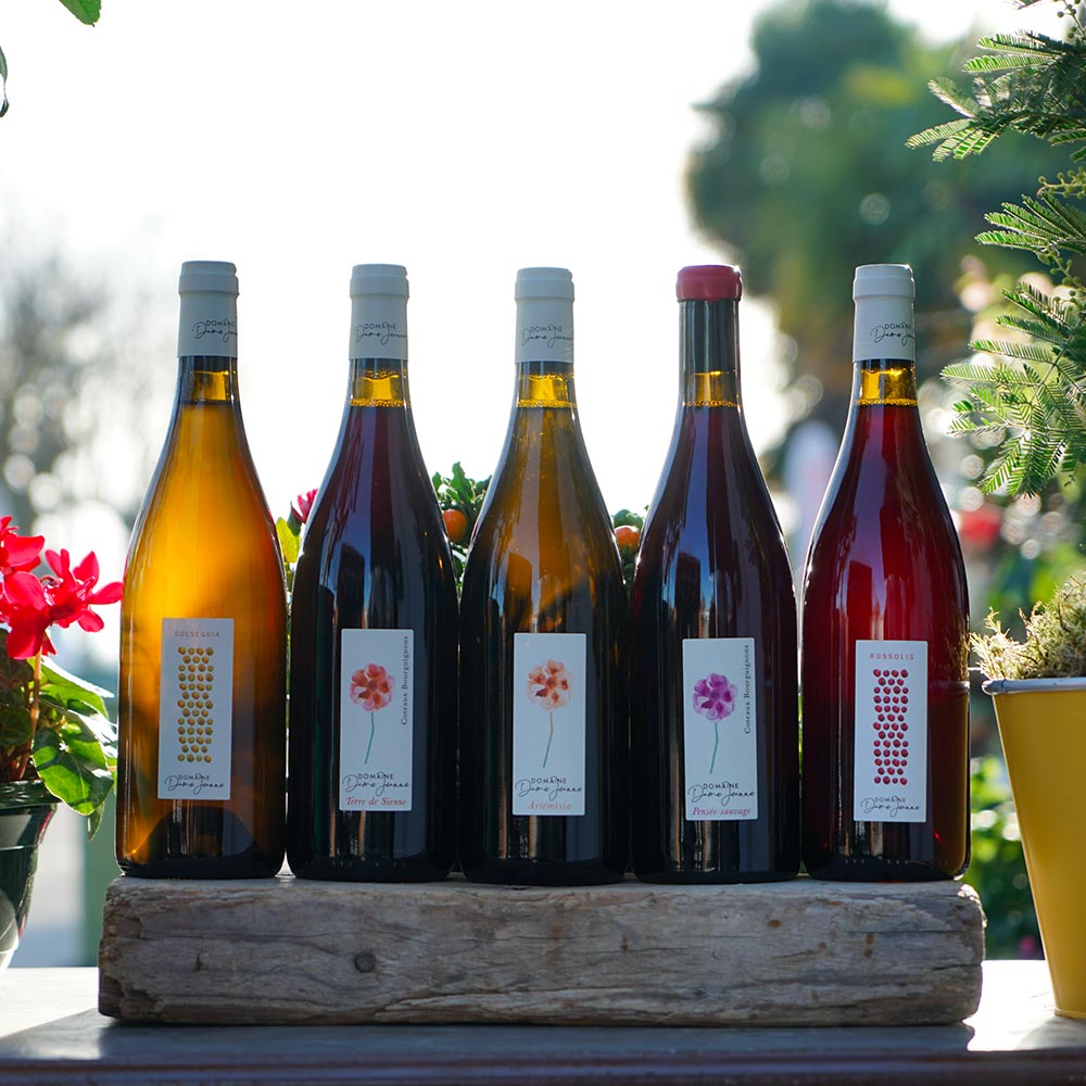 Alchémille 2022 - Domaine Dame Jeanne – Image 3