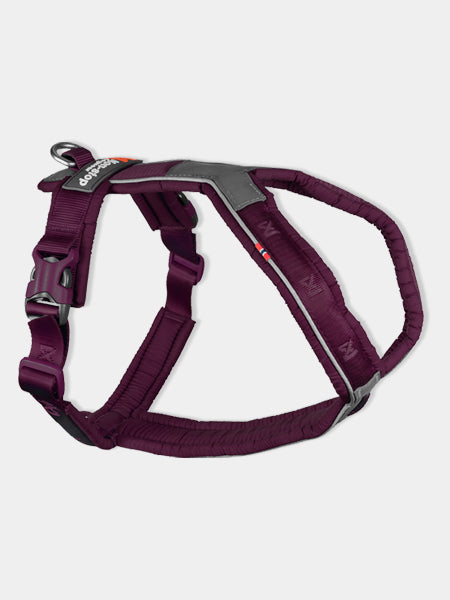 Harnais pour chien - Line Harness 5.0 - Violet - Non-Stop Dogwear