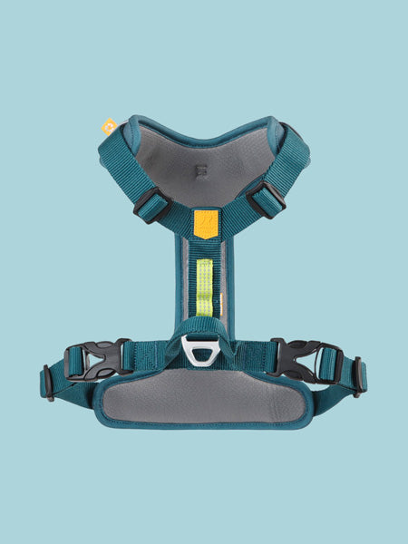 Harnais pour chien Roam Harness - Deep teal - Woolly Wolf – Image 4