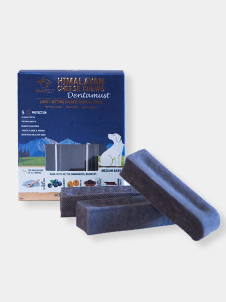 Bâtons de Fromage à mâcher pour chien - Myrtille 🫐 - Taille M – Image 2